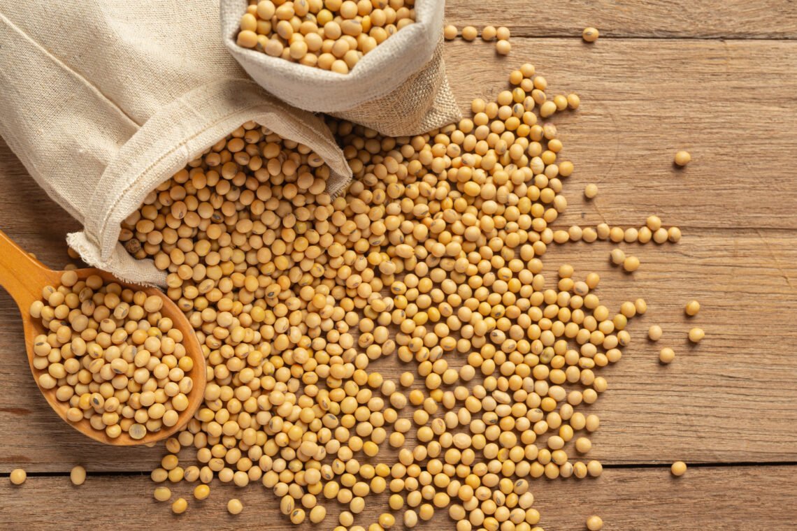 Fermented Natto — source of Phosphatidylserine